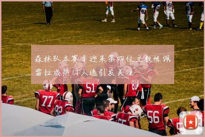 森林队本赛季迎来第四位主教练佩雷拉成热门人选引发关注