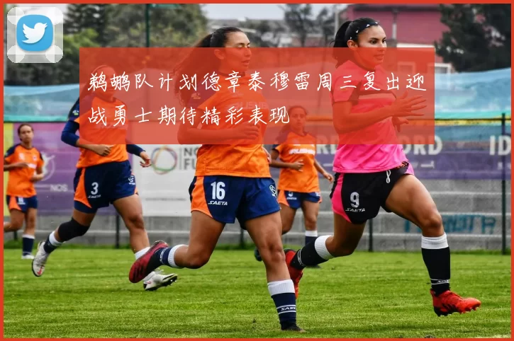 鹈鹕队计划德章泰穆雷周三复出迎战勇士期待精彩表现