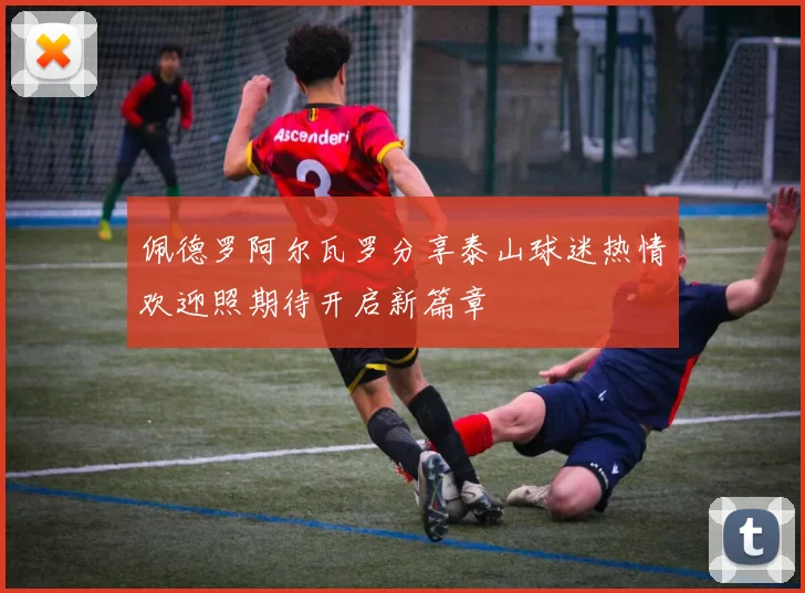 佩德罗阿尔瓦罗分享泰山球迷热情欢迎照期待开启新篇章