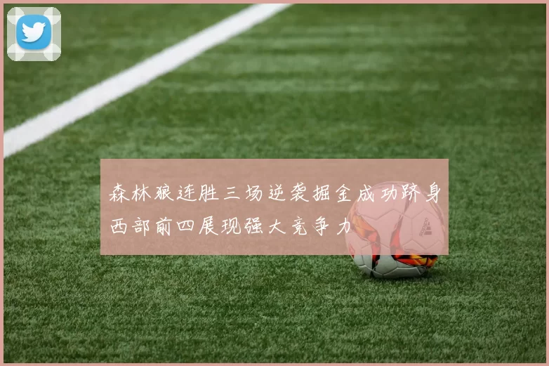 森林狼连胜三场逆袭掘金成功跻身西部前四展现强大竞争力