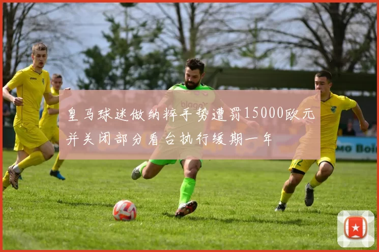 皇马球迷做纳粹手势遭罚15000欧元并关闭部分看台执行缓期一年